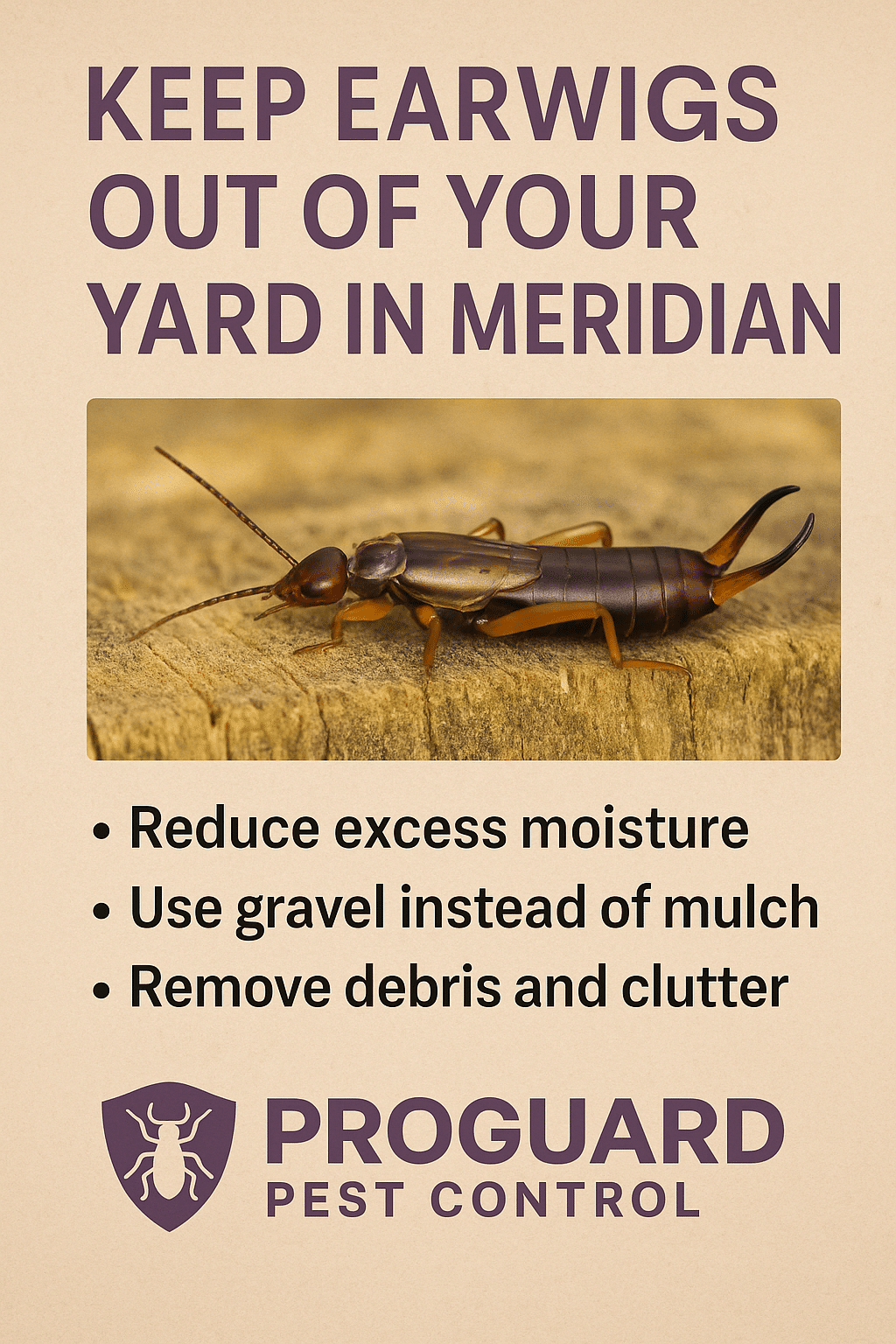 keep-earwigs-out-of-your-yard-in-meridian-indoor
